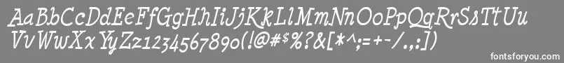 MinyaNouvelleItalic Font – White Fonts on Gray Background