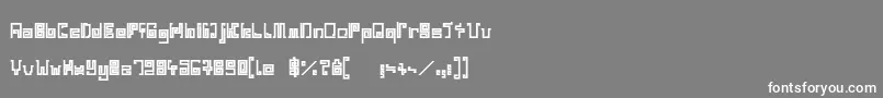IndiaSnakePixelLabyrinthGameBold Font – White Fonts on Gray Background
