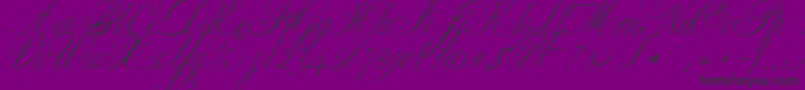 Police ClassicaOne – polices noires sur fond violet