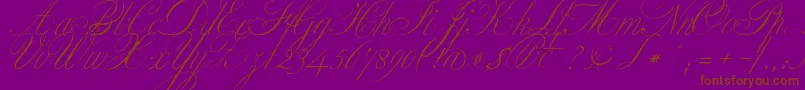 ClassicaOne-Schriftart – Braune Schriften auf violettem Hintergrund