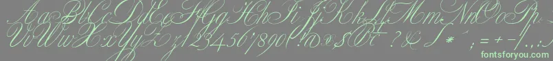 Czcionka ClassicaOne – zielone czcionki na szarym tle