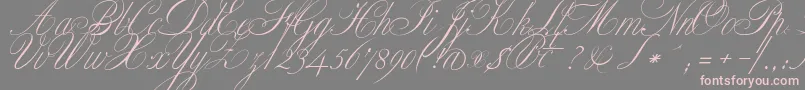ClassicaOne-Schriftart – Rosa Schriften auf grauem Hintergrund