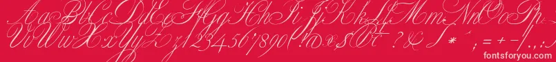 fuente ClassicaOne – Fuentes Rosadas Sobre Fondo Rojo