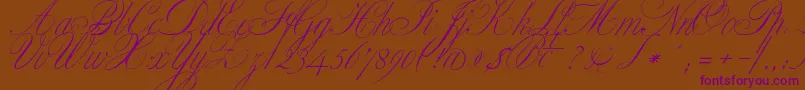 ClassicaOne Font – Purple Fonts on Brown Background