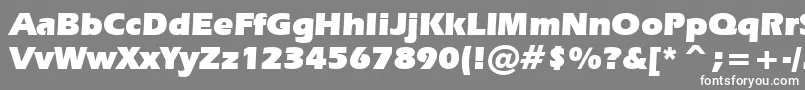 フォントErasu – 灰色の背景に白い文字