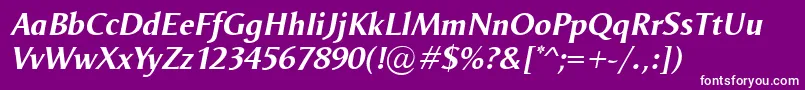 OdenseBolditalic Font – White Fonts on Purple Background