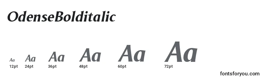 OdenseBolditalic Font Sizes