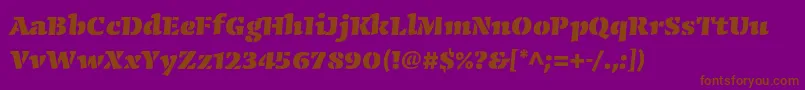 CongabravastencilstdBlack Font – Brown Fonts on Purple Background