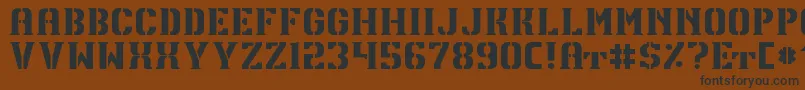 TpfU13Regular Font – Black Fonts on Brown Background