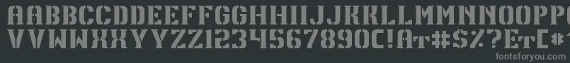 TpfU13Regular Font – Gray Fonts on Black Background