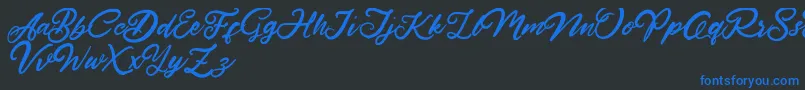 HardestStyleDemo Font – Blue Fonts on Black Background