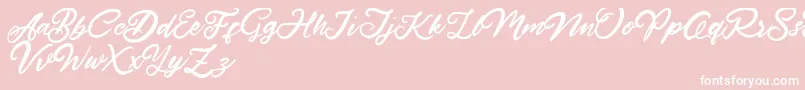 HardestStyleDemo Font – White Fonts on Pink Background