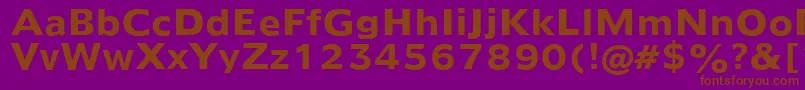 Humanist970BoldBt Font – Brown Fonts on Purple Background