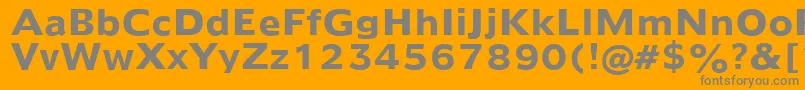 Humanist970BoldBt Font – Gray Fonts on Orange Background