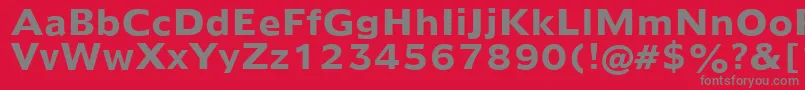 Humanist970BoldBt Font – Gray Fonts on Red Background