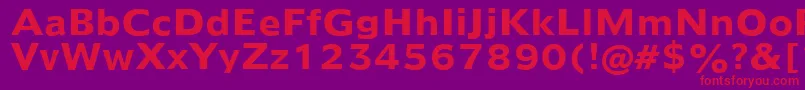 Humanist970BoldBt Font – Red Fonts on Purple Background