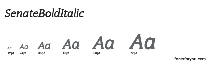 SenateBoldItalic Font Sizes