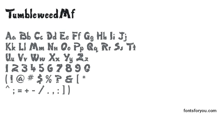 Шрифт TumbleweedMf – алфавит, цифры, специальные символы