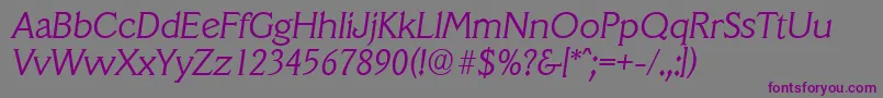 VeracruzserialLightItalic Font – Purple Fonts on Gray Background