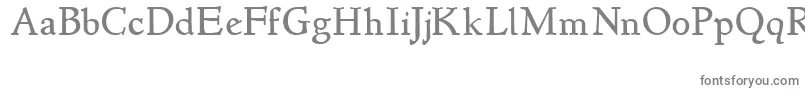Czcionka Newstyle – szare czcionki