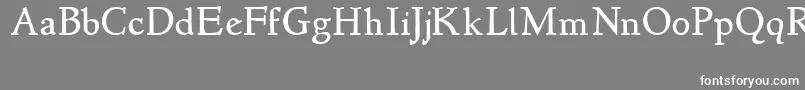 Newstyle-Schriftart – Weiße Schriften auf grauem Hintergrund