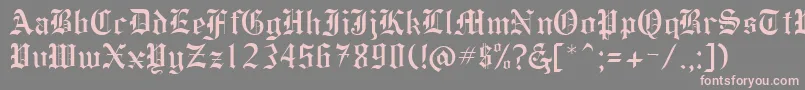 HollebyRegular Font – Pink Fonts on Gray Background