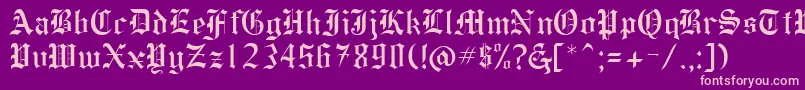 HollebyRegular Font – Pink Fonts on Purple Background