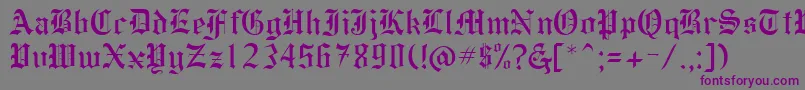 HollebyRegular Font – Purple Fonts on Gray Background