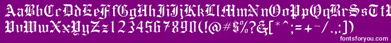 HollebyRegular Font – White Fonts on Purple Background