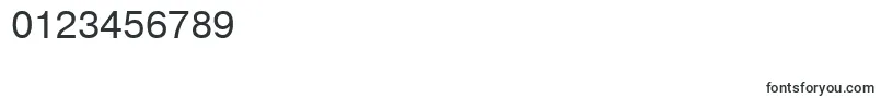 Pragmaticaroman Font – Fonts for Numbers and Digits