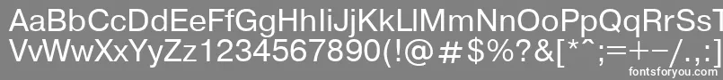 Pragmaticaroman Font – White Fonts on Gray Background