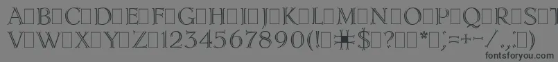 LidiaPlain Font – Black Fonts on Gray Background