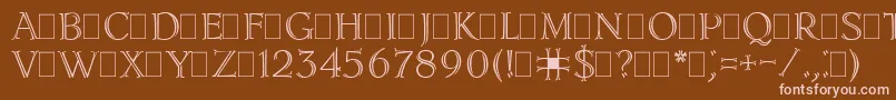 LidiaPlain Font – Pink Fonts on Brown Background
