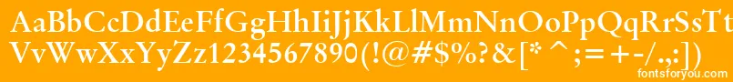 フォントOriginalGaramondBoldBt – オレンジの背景に白い文字