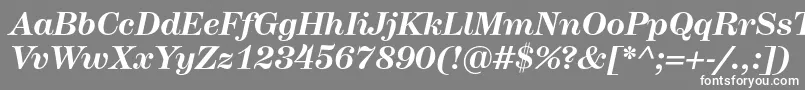 フォントHerculesBolditalic – 灰色の背景に白い文字