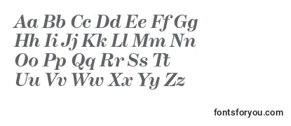 HerculesBolditalic Font