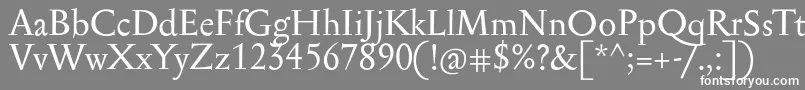 フォントSerapionPro – 灰色の背景に白い文字