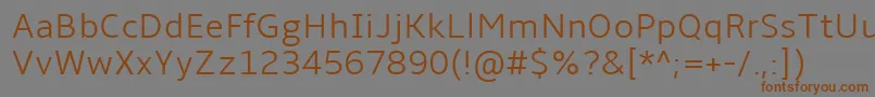 Шрифт AmbleLight – коричневые шрифты на сером фоне