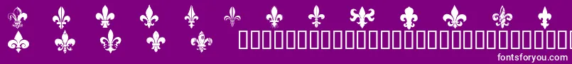 CffleursdelysRegular Font – White Fonts on Purple Background