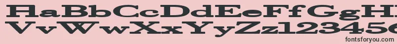 Halcyonia Font – Black Fonts on Pink Background