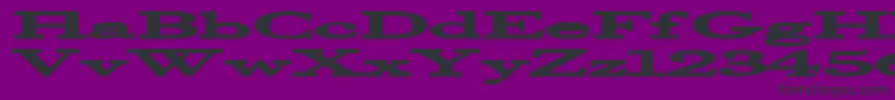 Halcyonia Font – Black Fonts on Purple Background