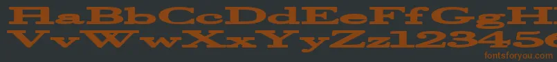 Halcyonia-fontti – ruskeat fontit mustalla taustalla