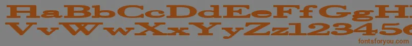 フォントHalcyonia – 茶色の文字が灰色の背景にあります。