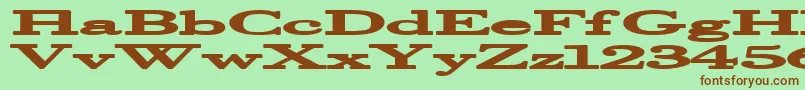 Halcyonia Font – Brown Fonts on Green Background