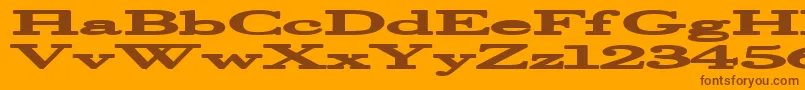 Halcyonia Font – Brown Fonts on Orange Background