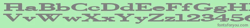 More about Halcyonia Font Halcyonia Font – Gray Fonts on Green Background
