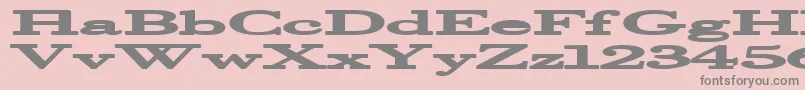 Halcyonia Font – Gray Fonts on Pink Background