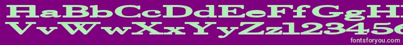 Halcyonia Font – Green Fonts on Purple Background