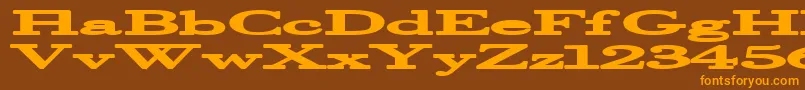 Halcyonia Font – Orange Fonts on Brown Background