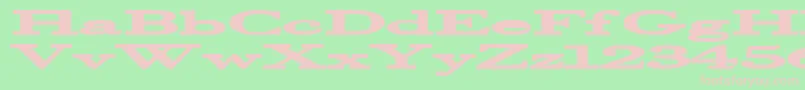 Halcyonia Font – Pink Fonts on Green Background